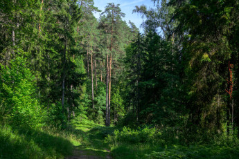 Anija vald, Harju, Estonia