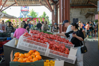 Tomatoes: red, orange, yellow -- and cucumbers (green!)