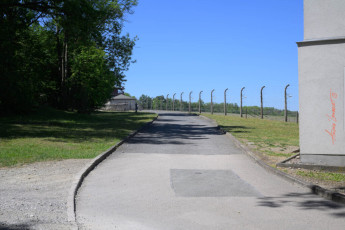 Perimeter: Barbed wire enclosing the Buchenwald concentration camp