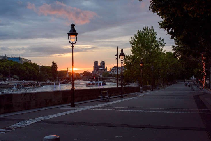 Notre-Dame at dusk