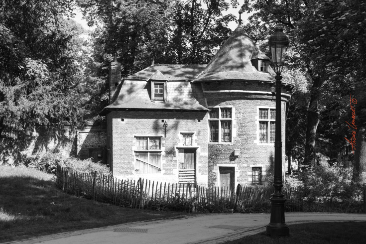 DSC1385