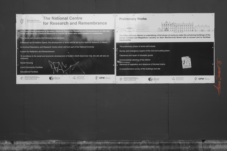 DSC2365