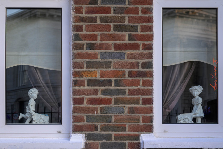 DSC2396