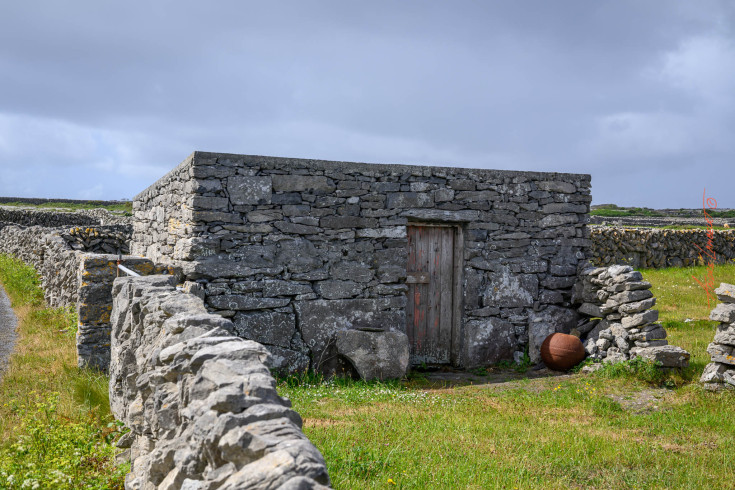 Shed