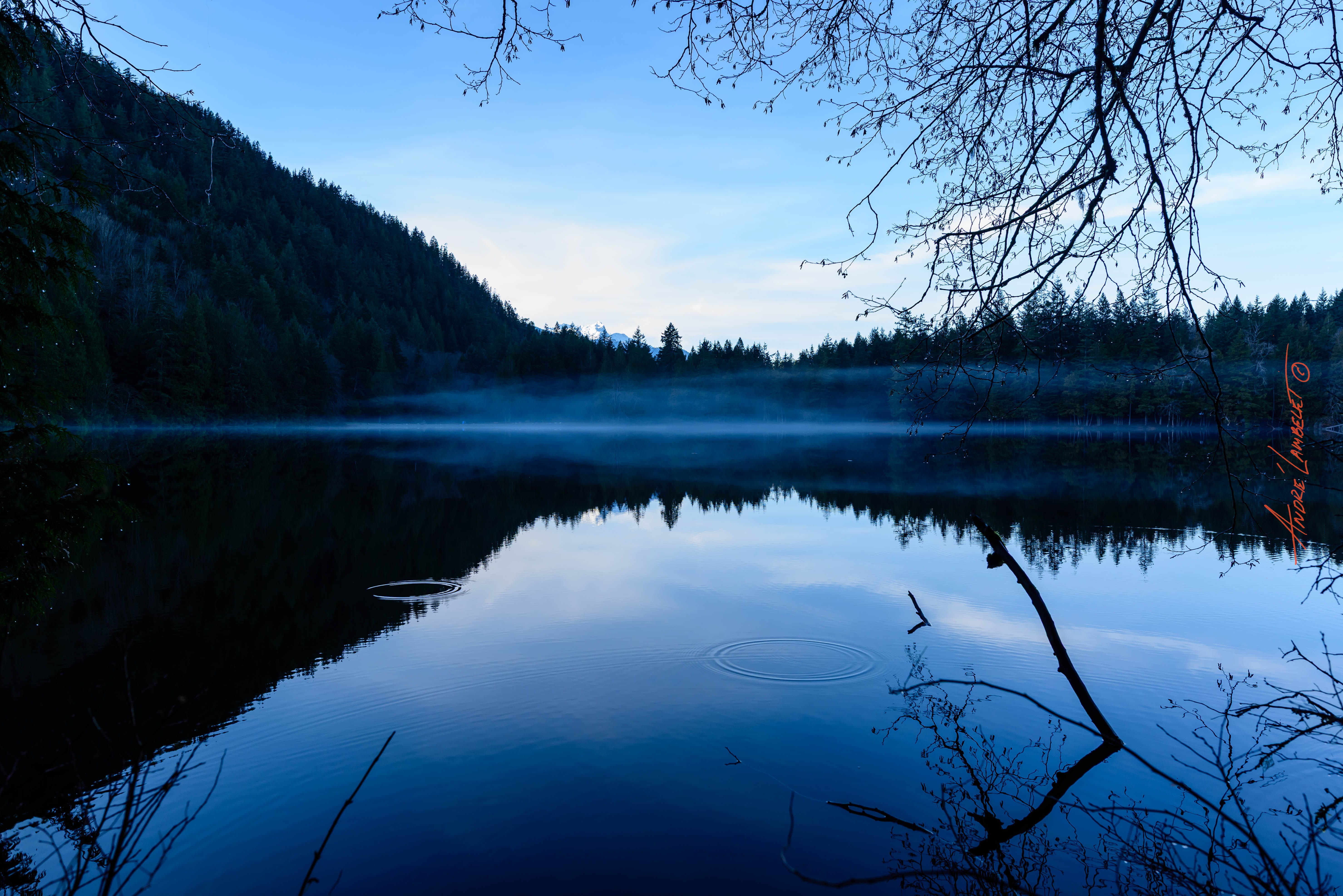 Mist