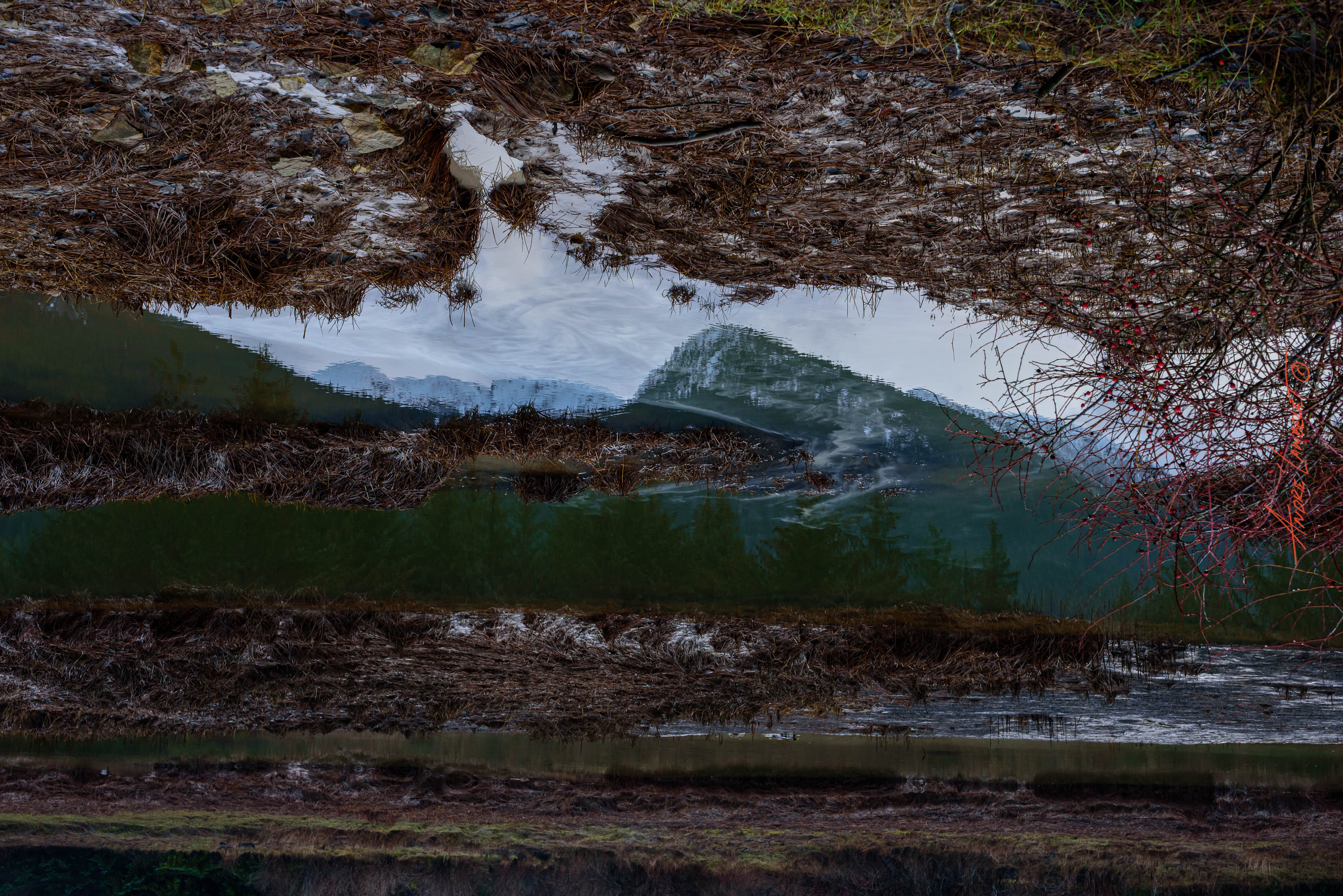 Water